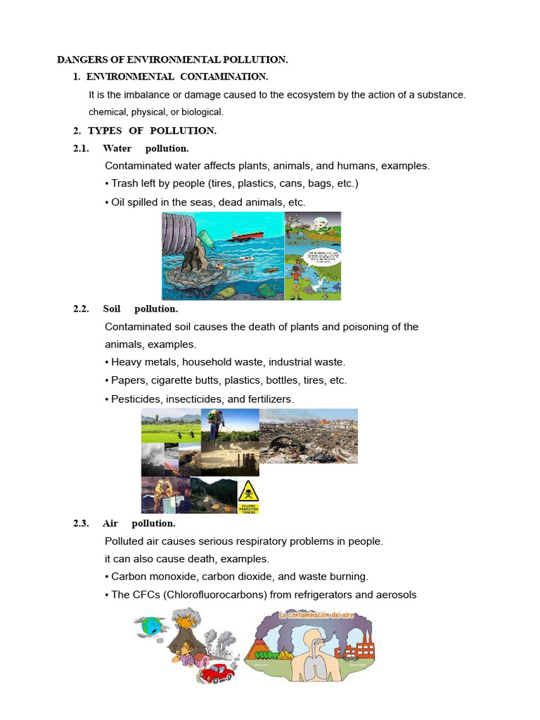 Dangers of Environmental Pollution 2 | PDF | Pollution | Soil