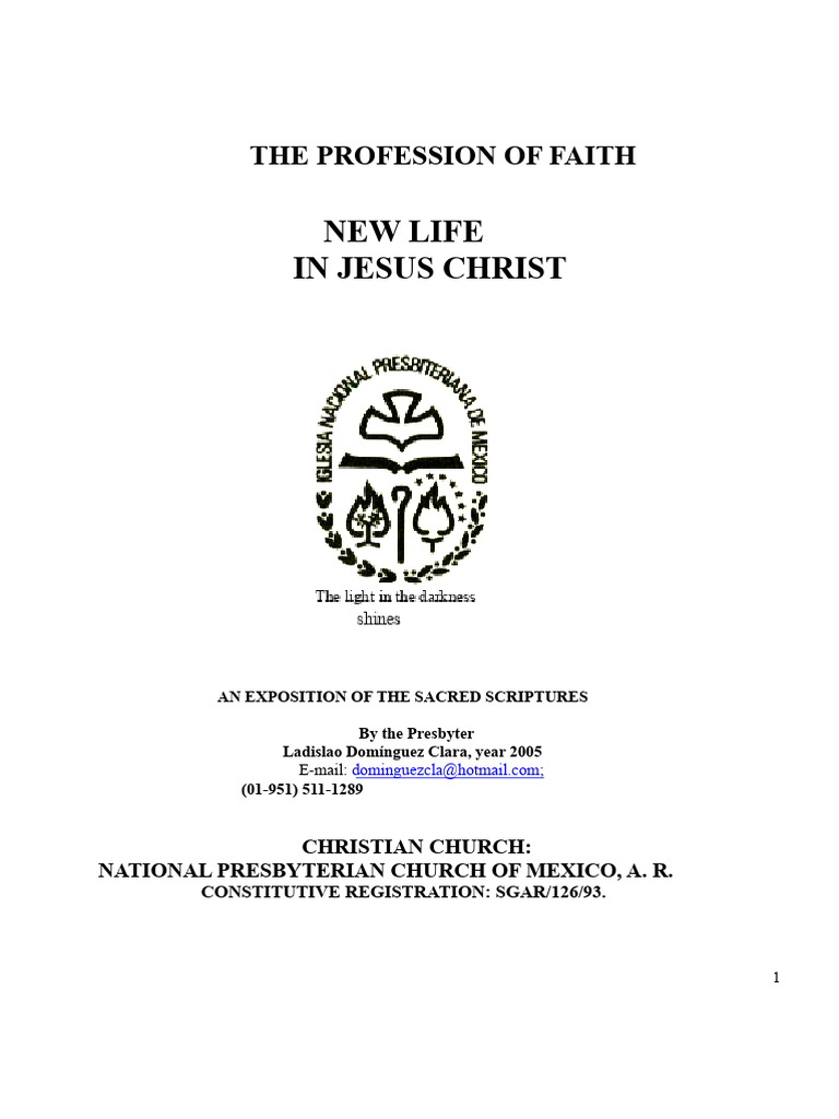 New Life in Christ: Faith Profession Guide | PDF | Baptism | Jesus