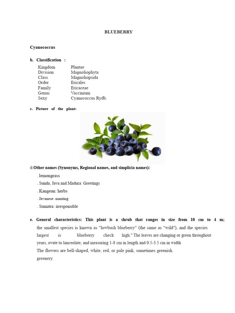 BLUEBERRY | PDF | Blueberry | Vitamin