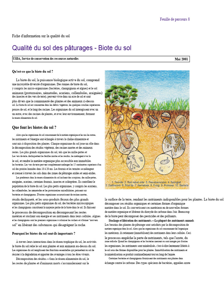 Importance de la biote du sol dans les pâturages | PDF | Sol (pédologie ...
