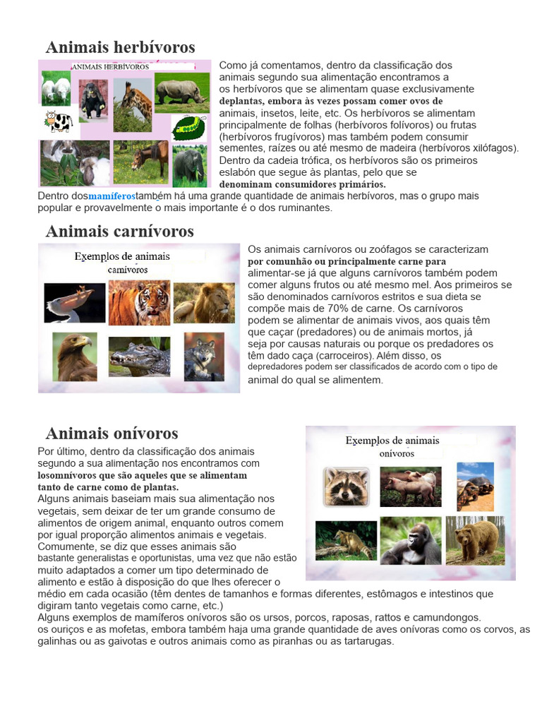 Alimentação de Animais Herbívoros, Carnívoros e Onivoros | PDF ...