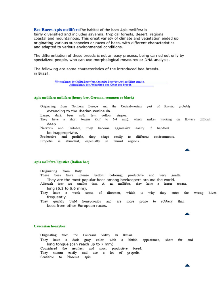 Bee Races and Characteristics Overview | PDF | Honey Bee | Beekeeping