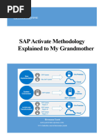 SAP Activate Methodology Phases Overview | PDF | Software Development ...