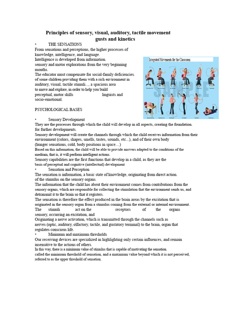 Sensory Development in Early Childhood | PDF | Senses | Ear