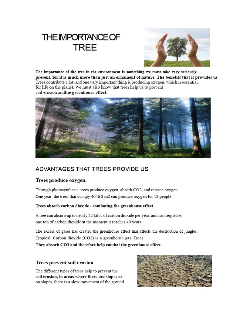 Benefits of Trees for the Environment | PDF | Soil | Trees