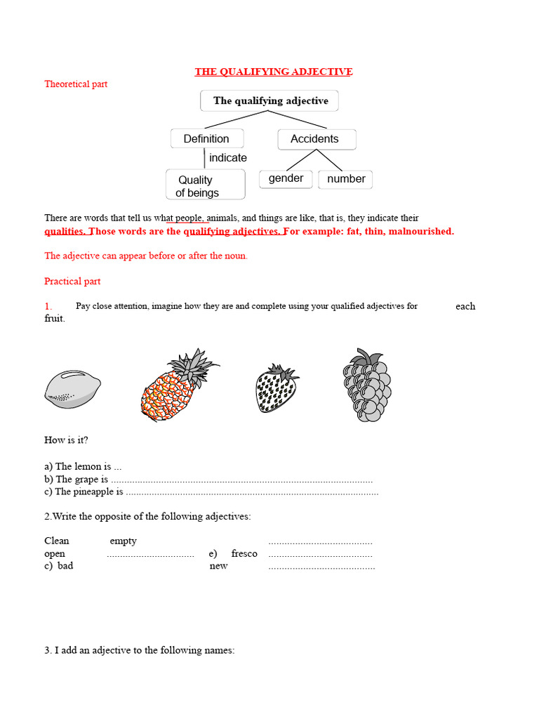 Understanding Qualifying Adjectives | PDF | Adjective | Grammatical Gender