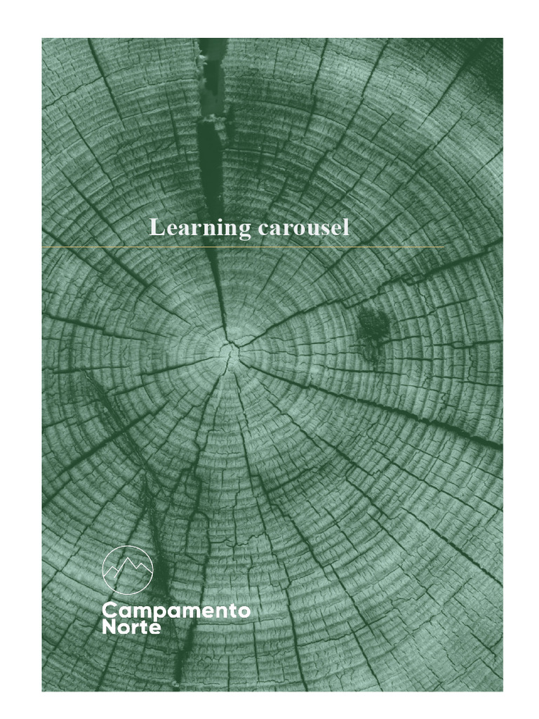 Dynamic Learning Carousel Activity | PDF | Classroom | Teachers