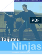 Taijutsu Ninja