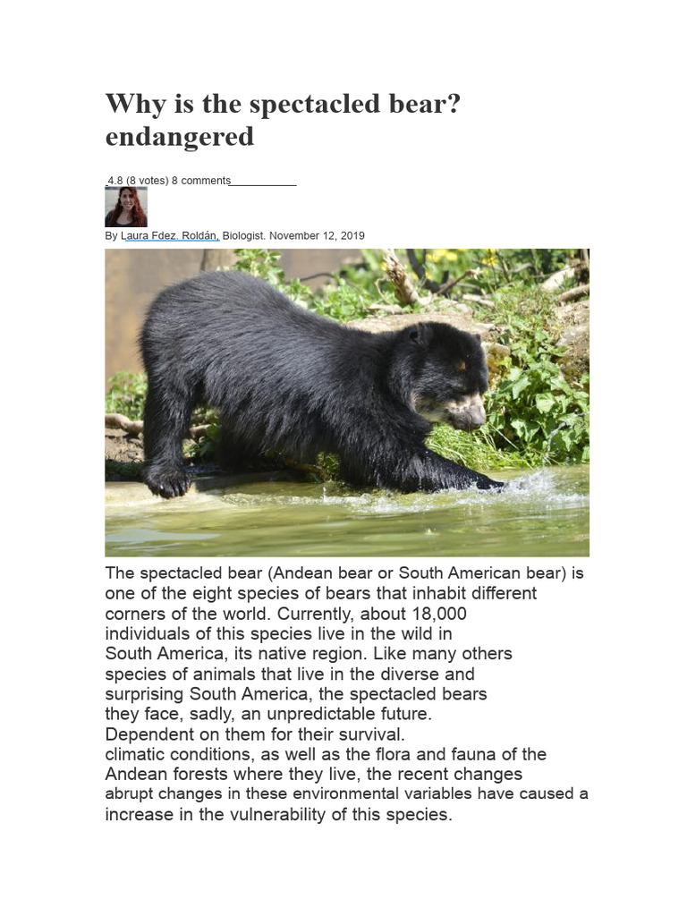 Spectacled Bear Endangerment Explained | PDF | Bears | Endangered Species