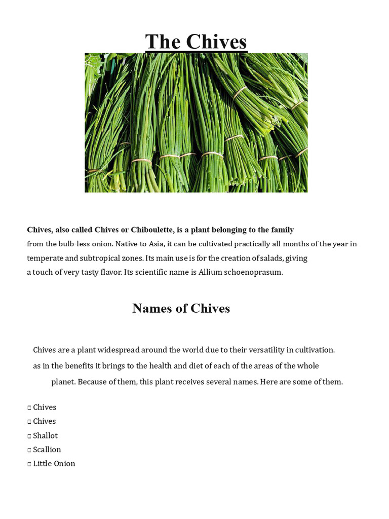 The Chive | PDF | Onion | Sowing