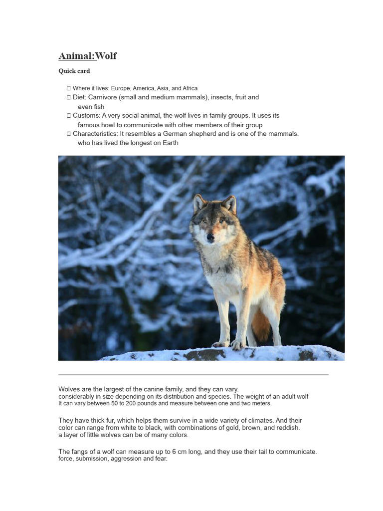Wolf: Social Canine Characteristics | PDF | Pack (Canine) | Canis Lupus