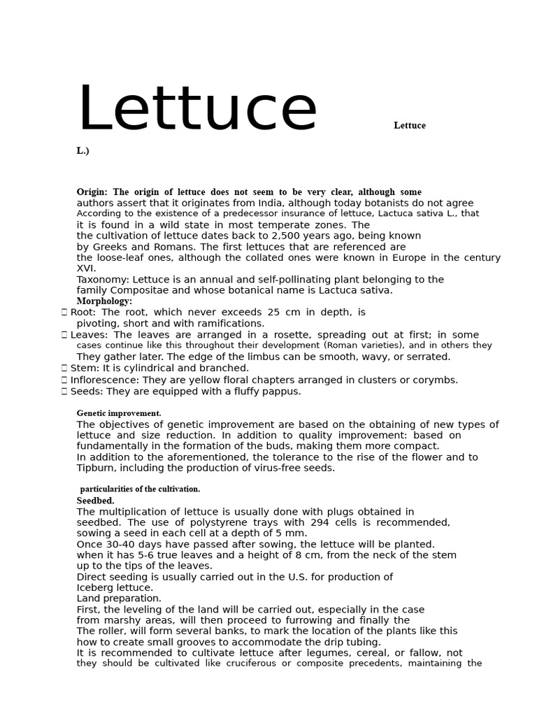 Comprehensive Guide to Lettuce Cultivation | PDF | Fertilizer | Soil