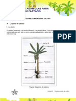 Unidad2_Establecimientodelcultivo