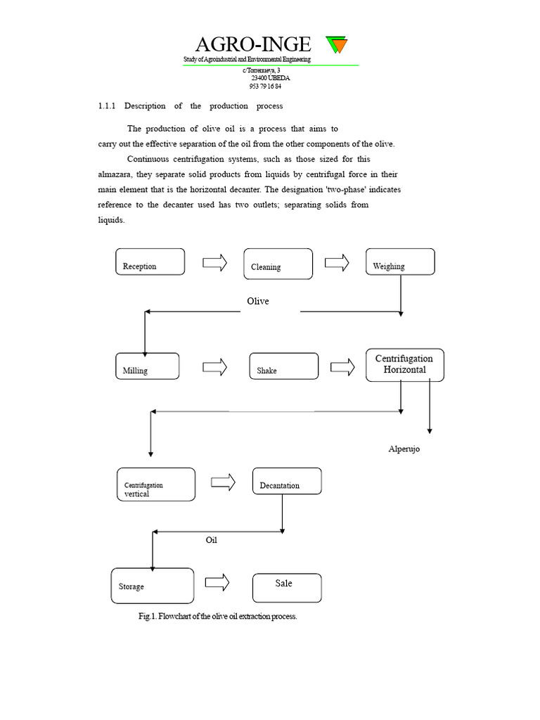 Olive Oil Production Process Overview | PDF | Industrial Processes