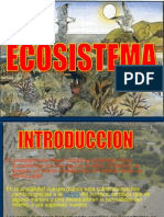 ECOSISTEMA