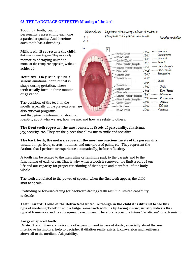 The Language of The Teeth | PDF | Tooth