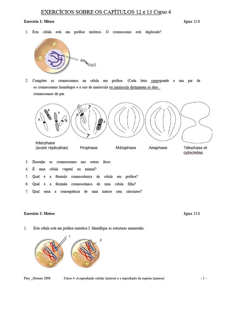 Exercícios sobre Mitose e Meiose | PDF | Reprodução sexual | Meiose