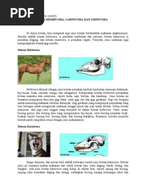 Gambar Macam Macam Hewan Karnivora Herbivora Dan Omnivora Gambar Macam Macam Hewan Karnivora Herbivora Dan Omnivora