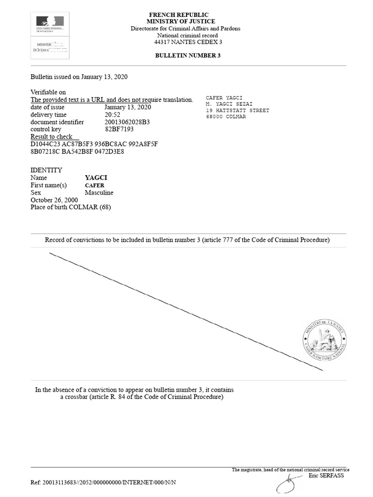 French Criminal Record Bulletin 3 | PDF | Criminal Record | Identity ...