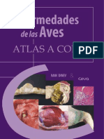 Atlas Enfermedades de Las Aves