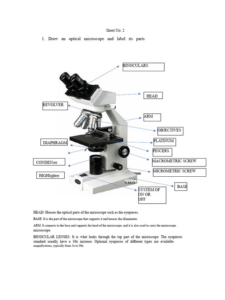 Parts of an Optical Microscope Explained | PDF | Microscope ...