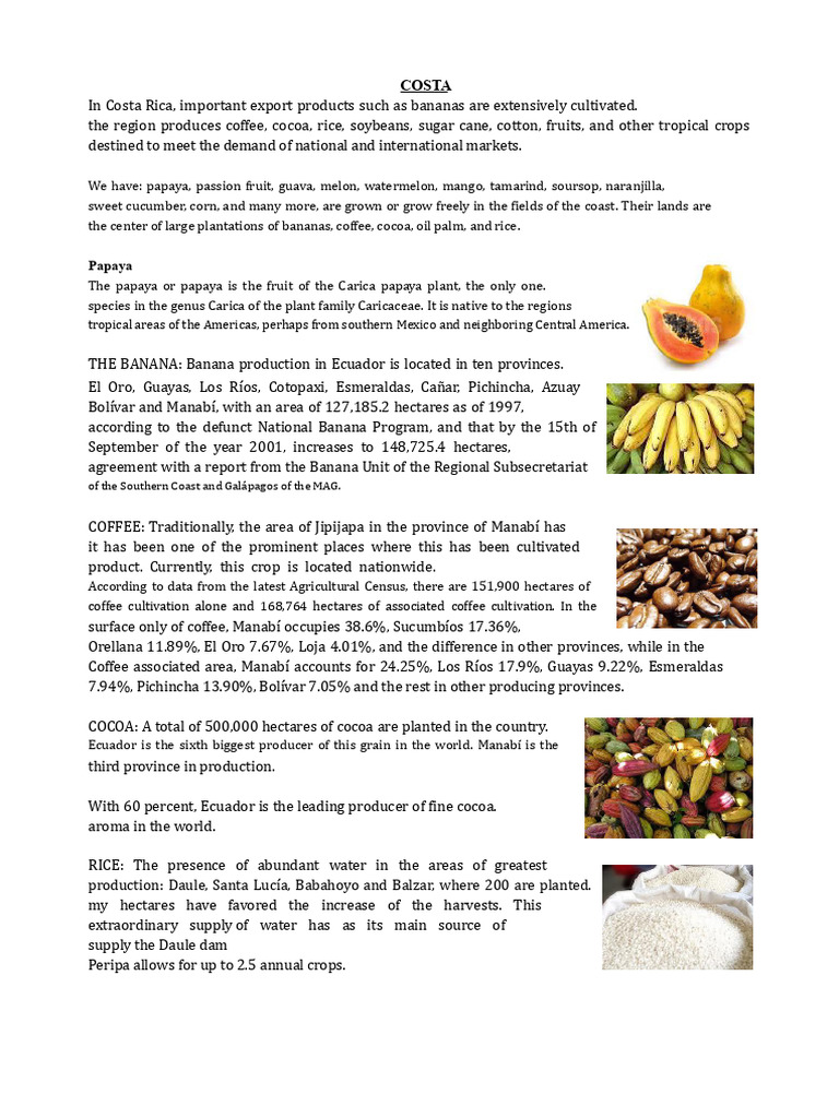 Productos Agrícolas en Valles Costeros | PDF | Cereals | Agriculture