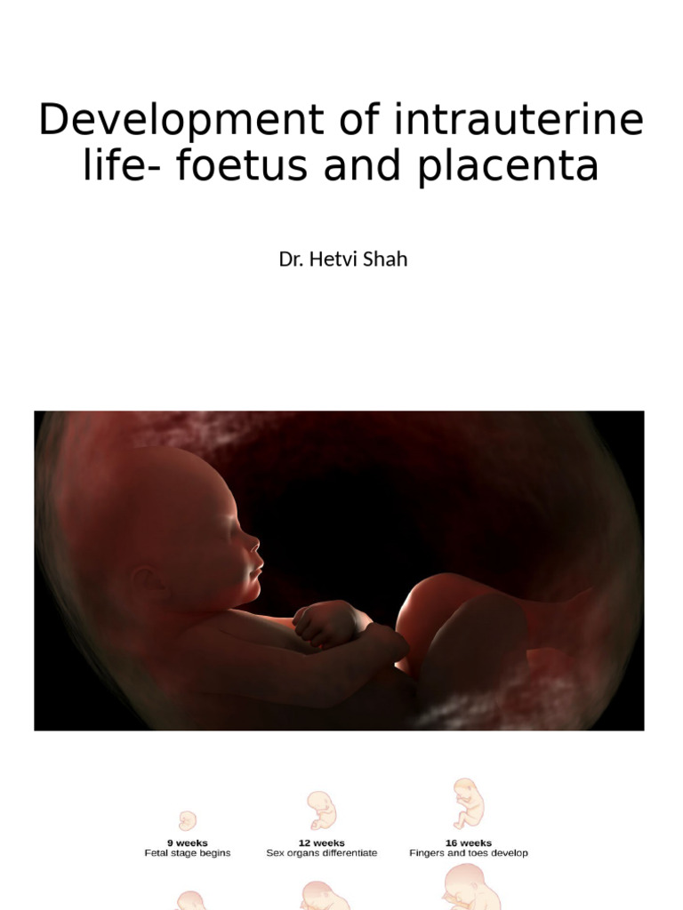 Foetal and Placental Development Guide | PDF | Placenta | Fetus