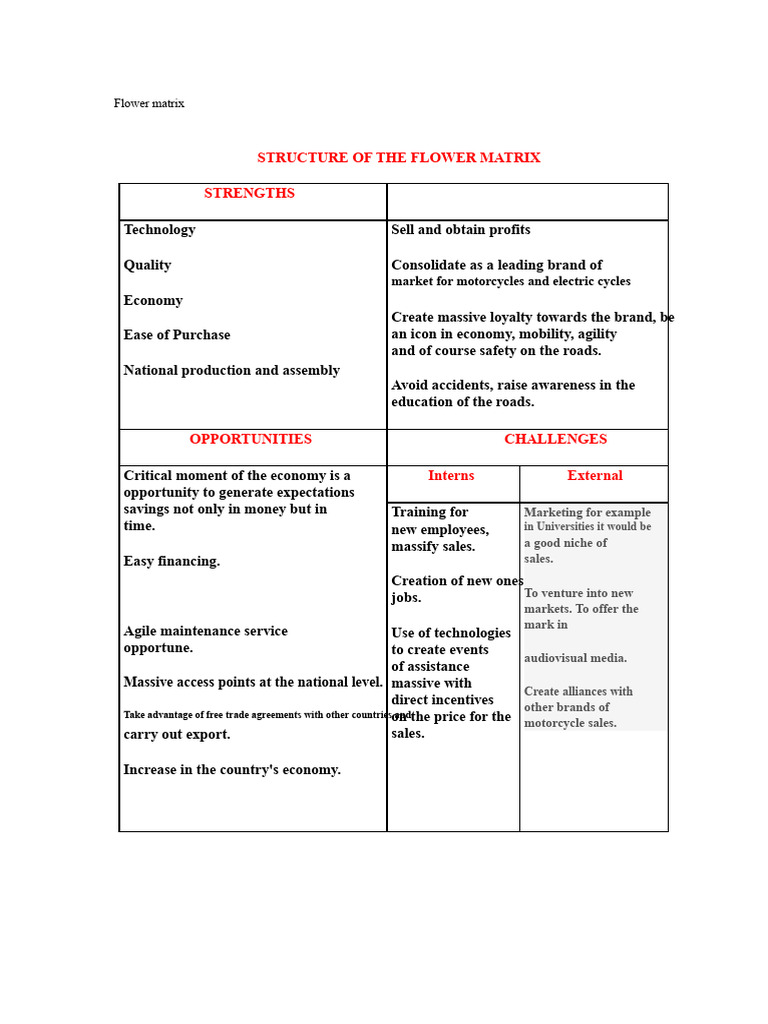 Flower Matrix | PDF | Swot Analysis | Business