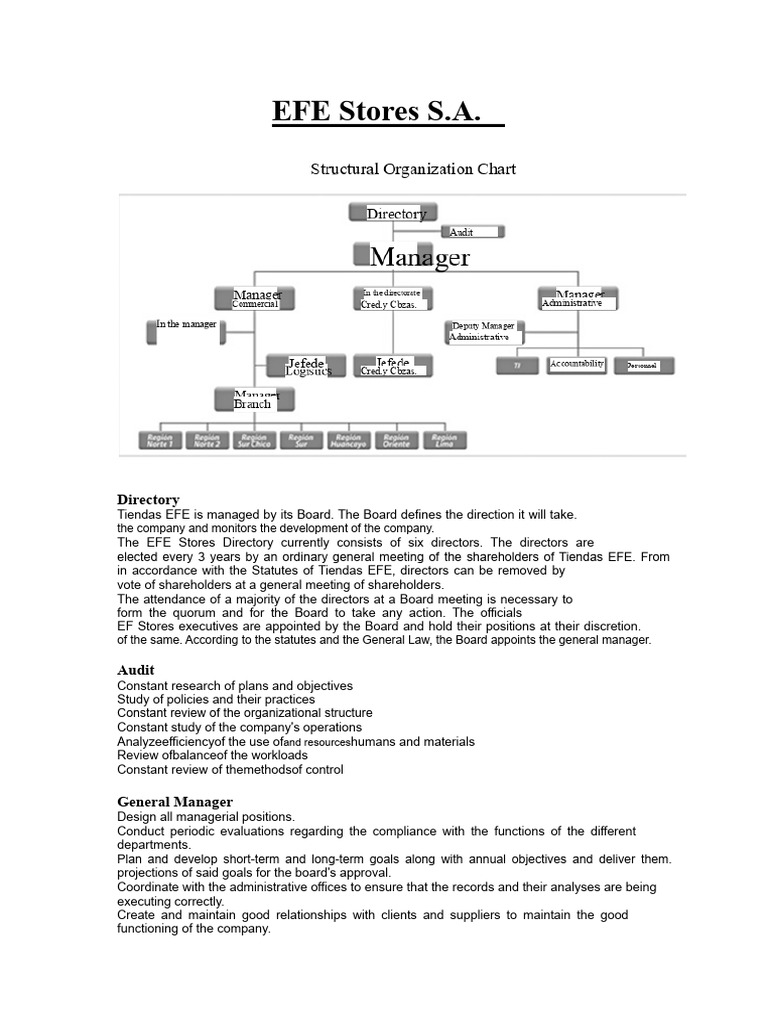 52525533-Stores-EFE-Organizational Chart | PDF | Sales | Credit