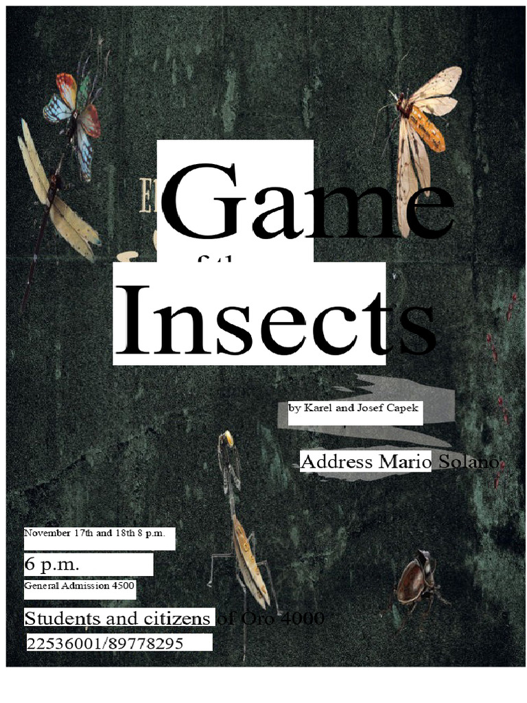 The Insect Play - Karel Capek, Josef Capek | PDF