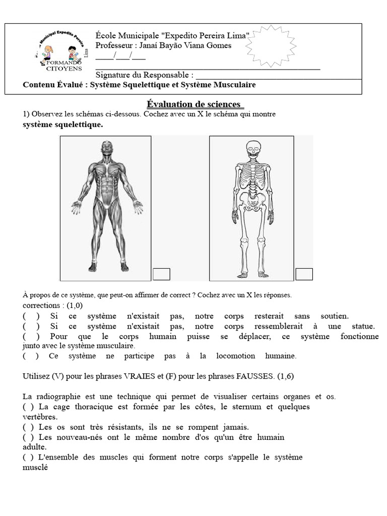Système Squelettique et Musculaire | PDF | Muscle | Squelette