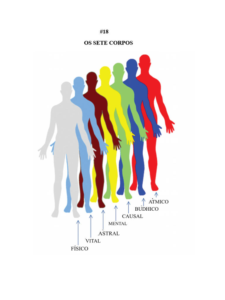Tema 18 Os Sete Corpos | PDF | Física | Corpo humano