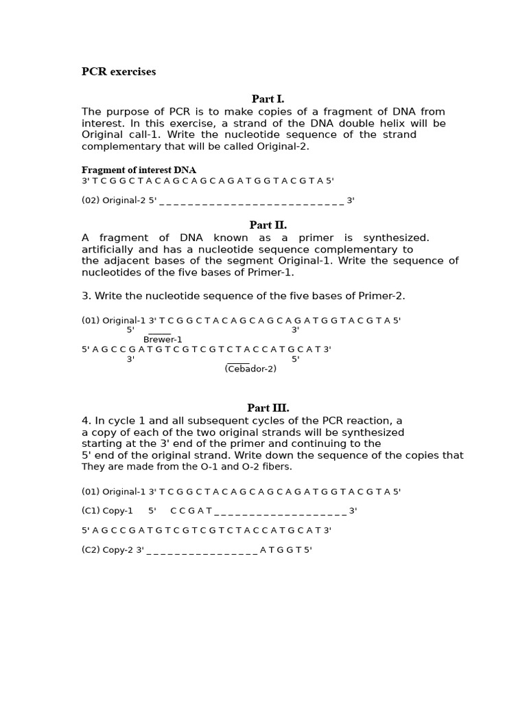 PCR Exercises: DNA Amplification Techniques | PDF | Polymerase Chain ...
