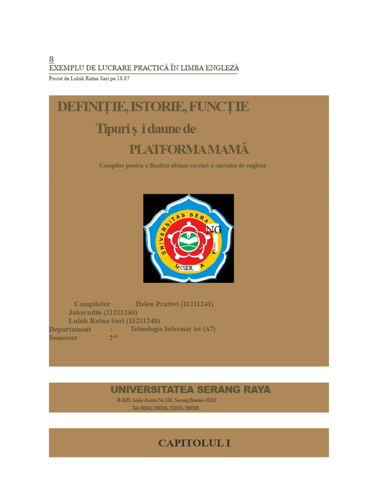 Exemplu de Lucrare În Limba Engleză | PDF