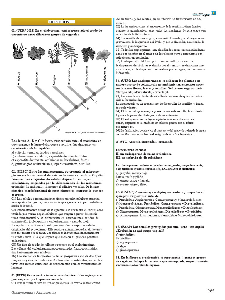 Características de las Angiospermas | PDF | Flores | Plantas
