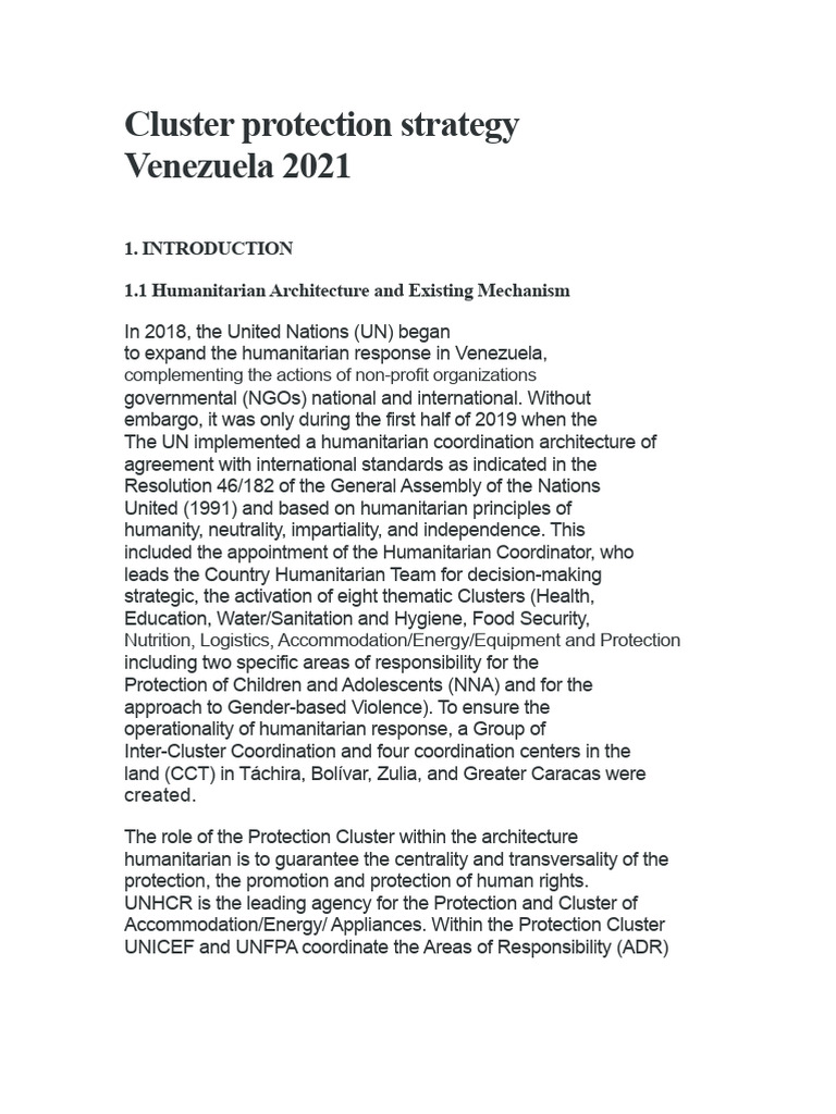 Cluster in Venezuela | PDF | Humanitarian Aid | United Nations