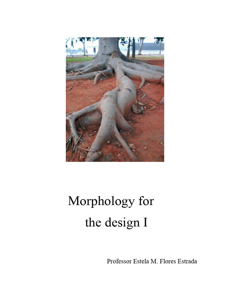 Exercises. Morphology For Design I | PDF | Rotation | Symmetry