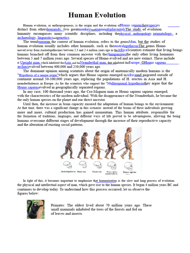 Overview of Human Evolution | PDF | Homo | Human Evolution
