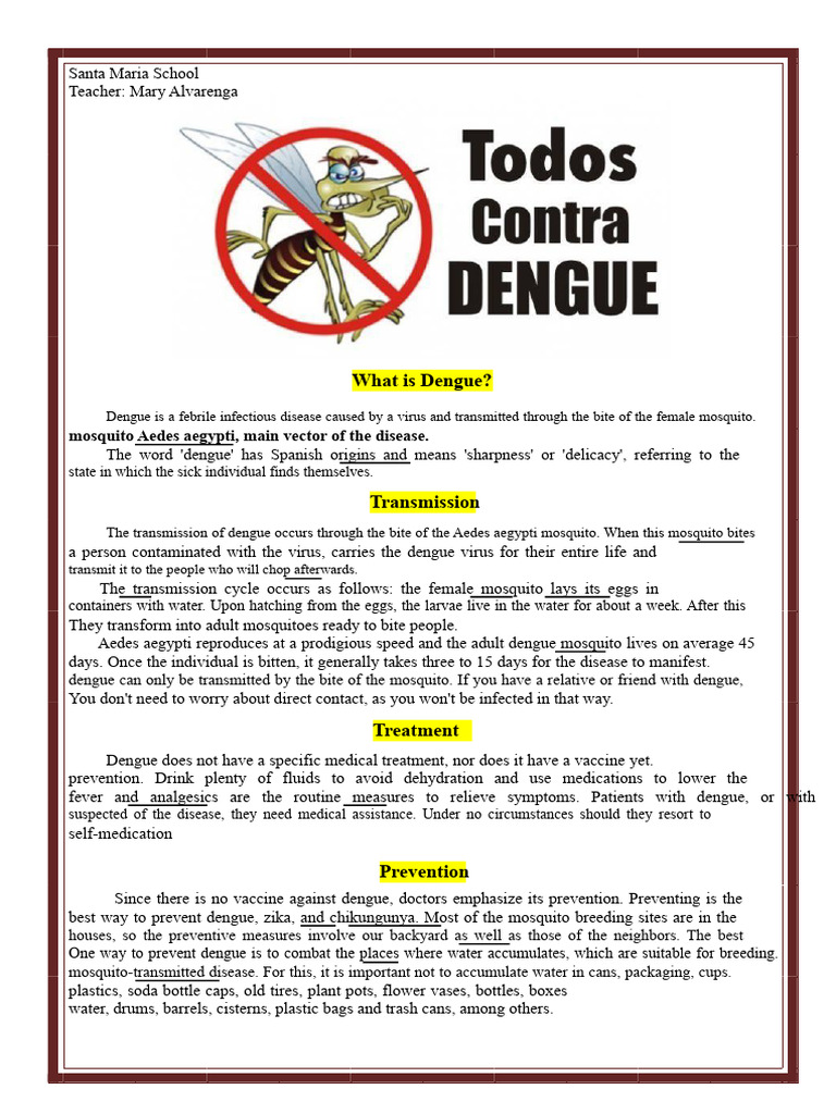 Dengue - Text and Activity | PDF | Mosquito | Public Health