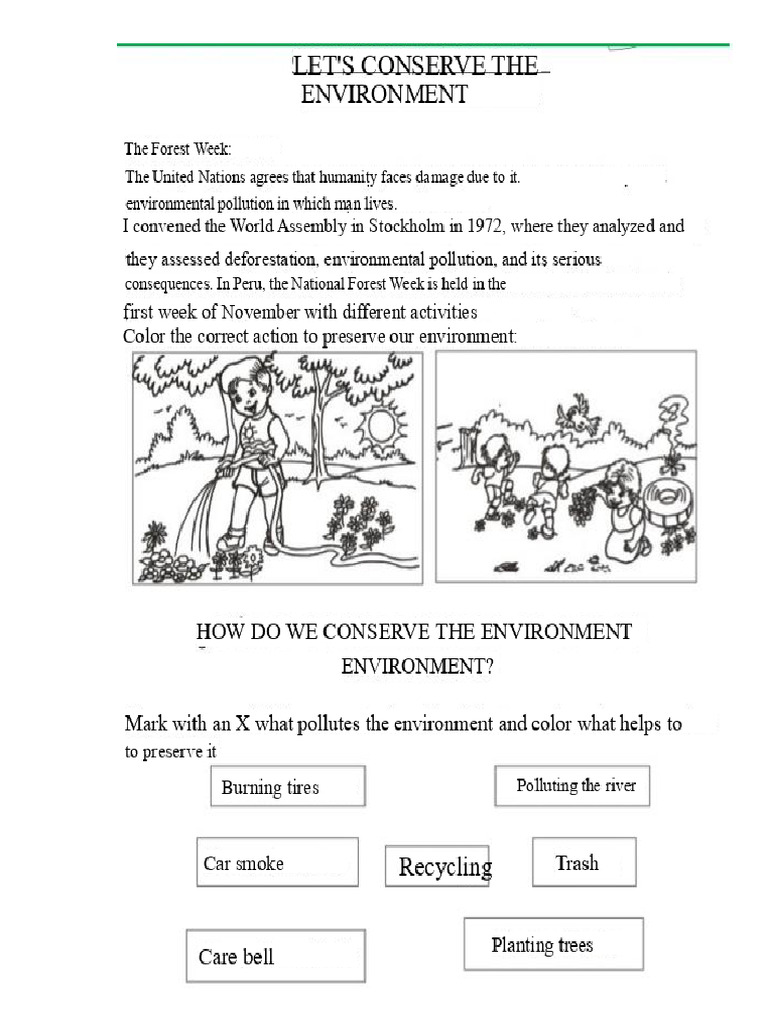 Science and Technology Worksheets 2nd Grade | PDF | Leaf | Flowers