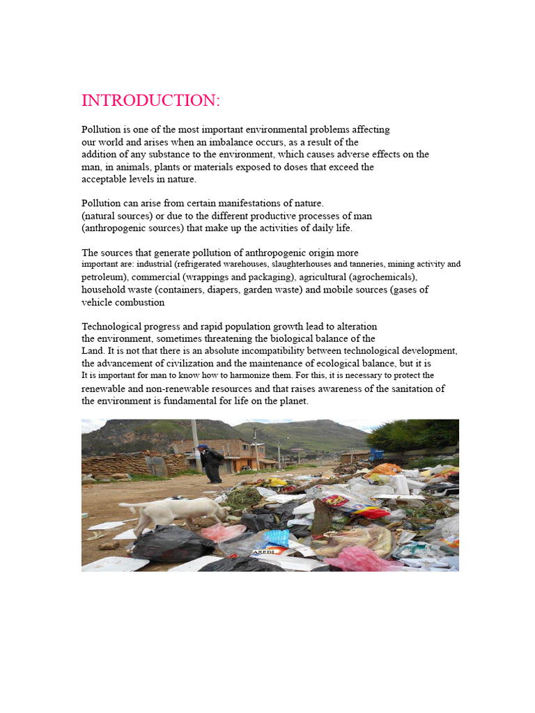 Understanding Environmental Pollution | PDF | Waste | Pollution