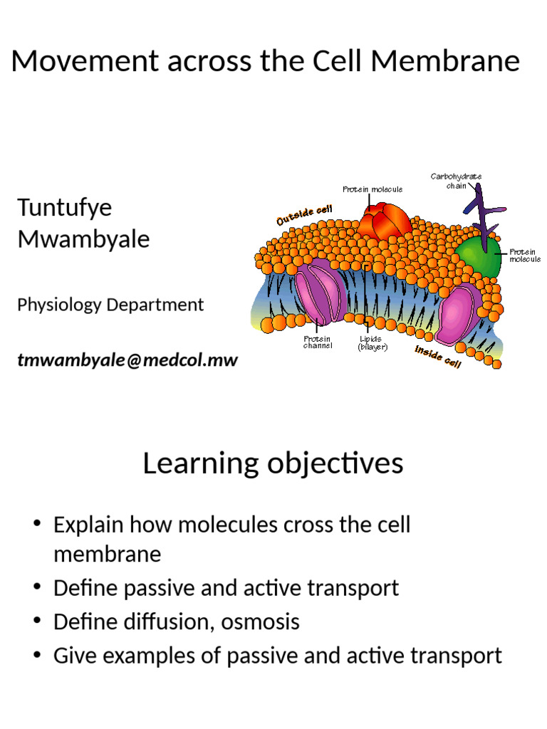 Cell Membrane Transport Mechanisms | PDF | Cell Membrane | Osmosis