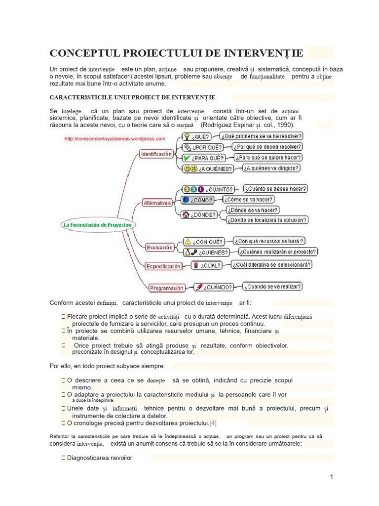 Conceptul de Proiect de Intervenție | PDF