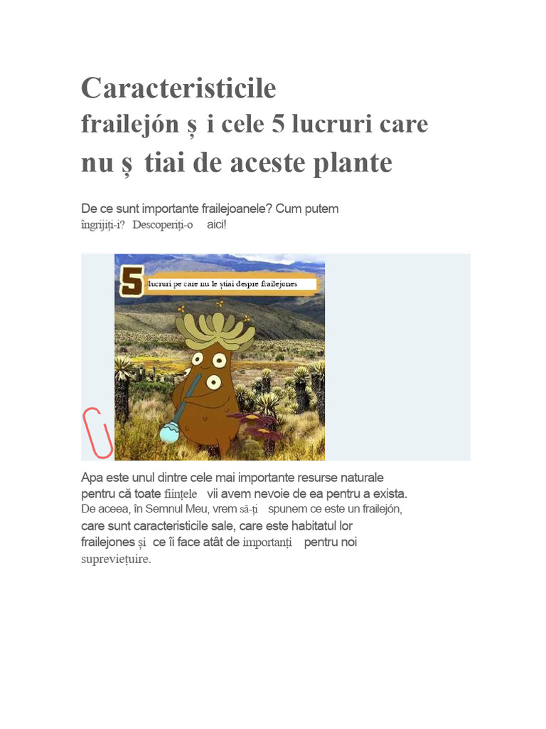 Caracteristicile Frailejónului Și Cele 5 Lucruri Pe Care Nu Le Știai ...