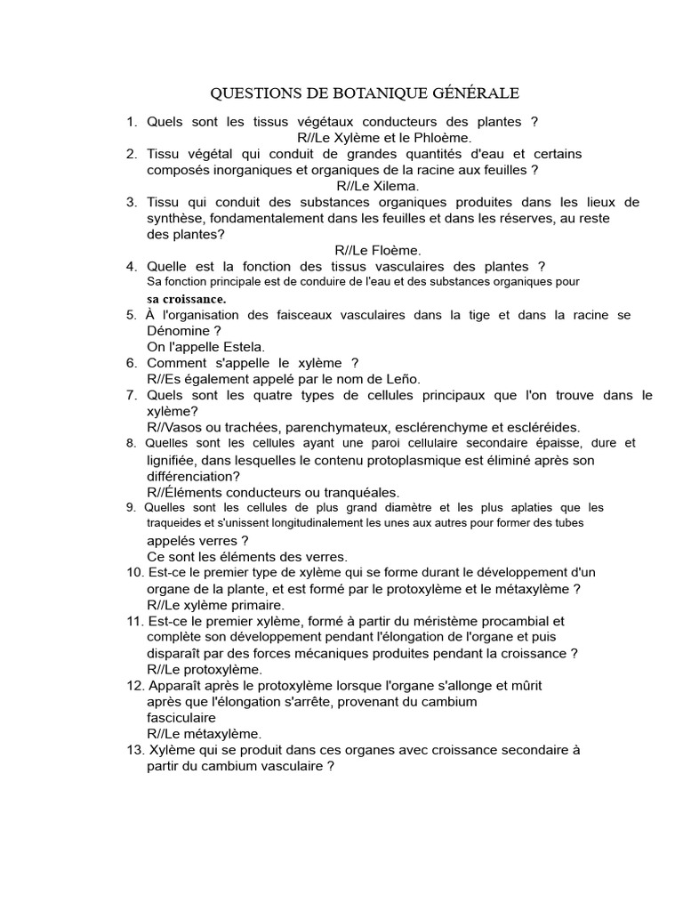 Tissus Conducteurs des Plantes Xylème et Phloème PDF Racine — free download