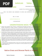 Understanding Grass Structure | PDF | Plants | Botany