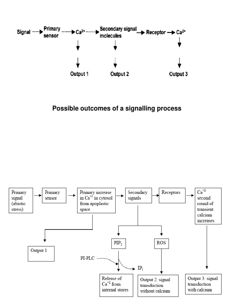 Signaling Processes in Abiotic Stress Response | PDF