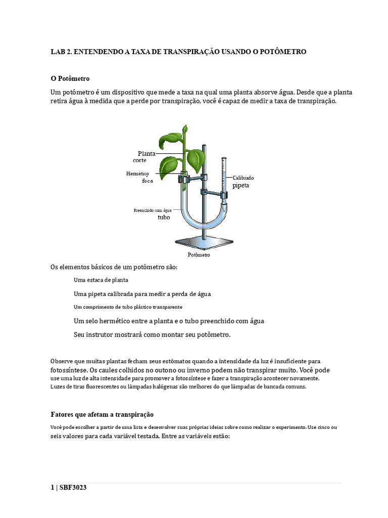 Taxa de Transpiração com Potômetro | PDF | Folha | Plantas