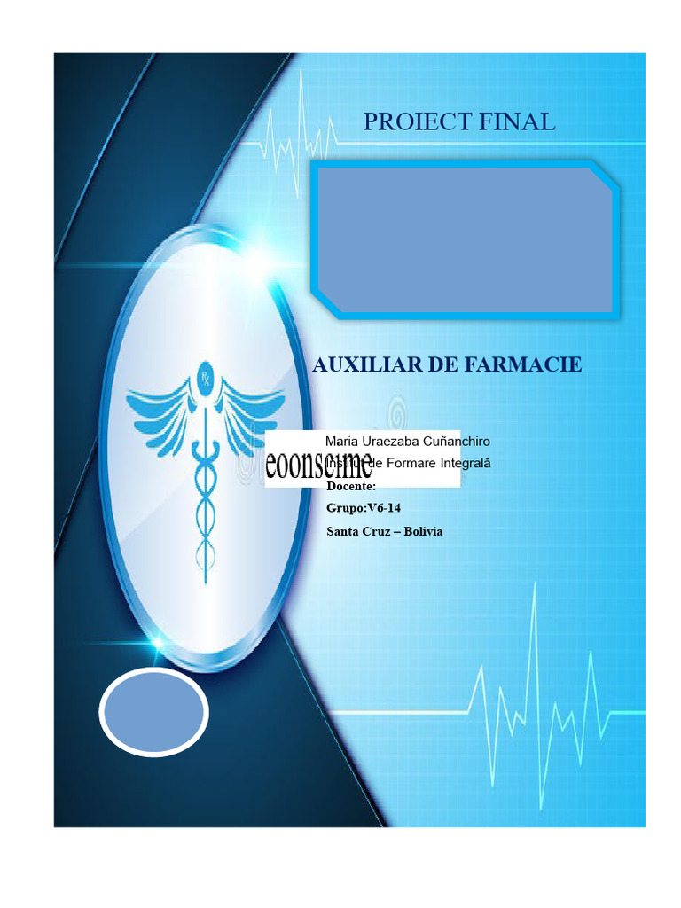 PROIECT FINAL Maria 2023 | PDF