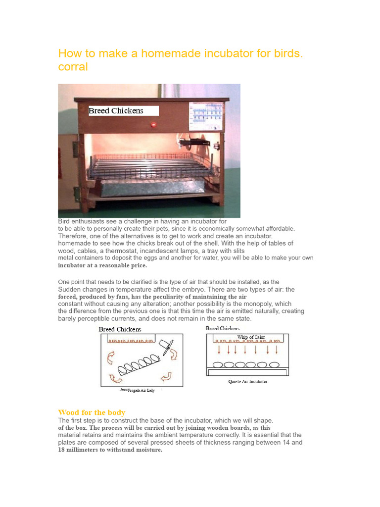 DIY Bird Incubator Guide | PDF | Thermostat | Egg